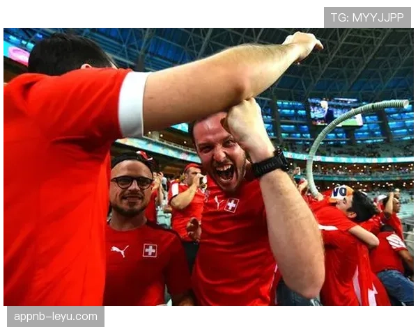 威尔士球迷热情高涨，持续力挺球队展现坚定支持