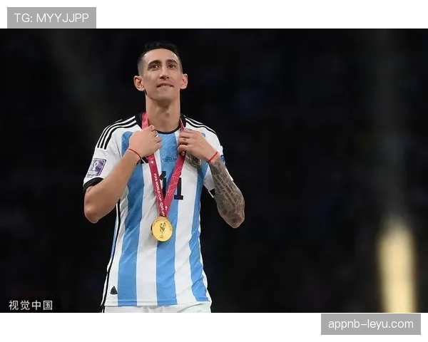 迪马利亚本赛季表现如何？专家深度解析