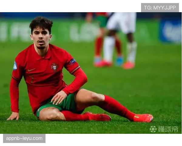 维蒂尼亚作用被低估?战术价值与实际贡献解析 维蒂尼亚作用被低估?战术价值与实际贡献解析